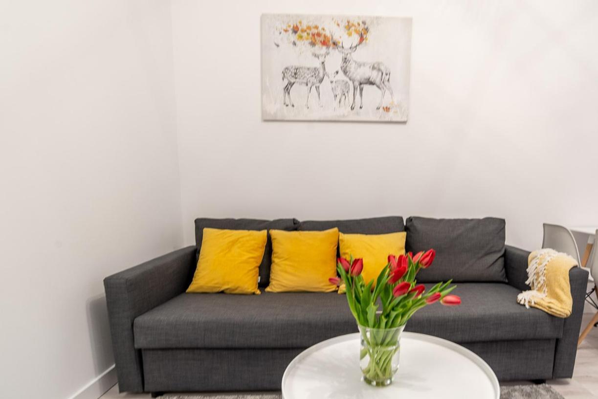 Maddy Apartment Old Town - Hav Aparts グダニスク エクステリア 写真